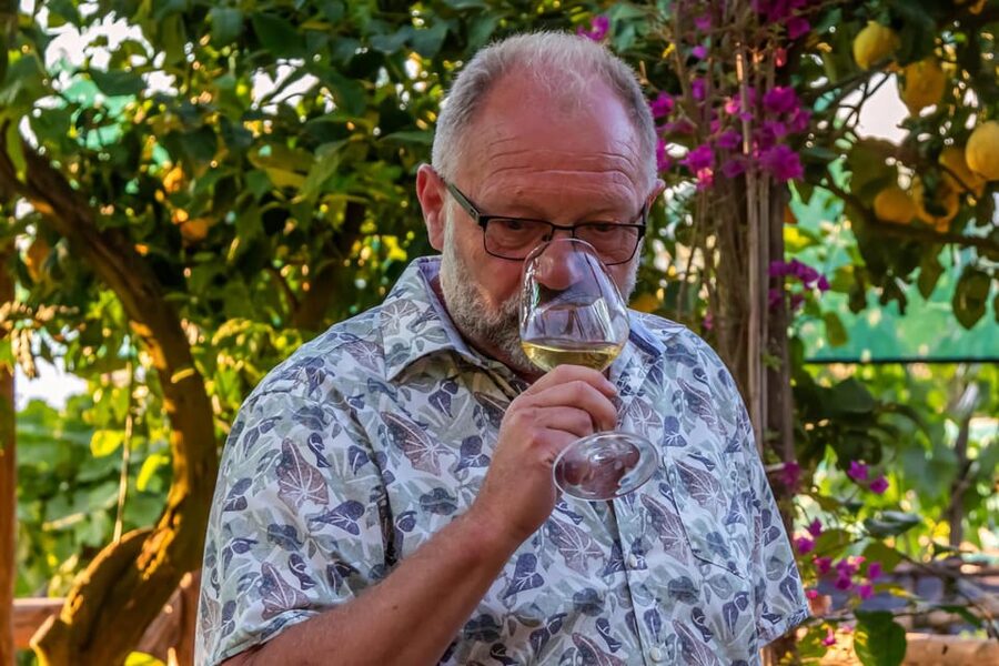 Sorrento: Wine Tasting Overlooking the Sea in a Lemon Grove - Why the Sea View and Lemon Groves Change the Whole Experience
