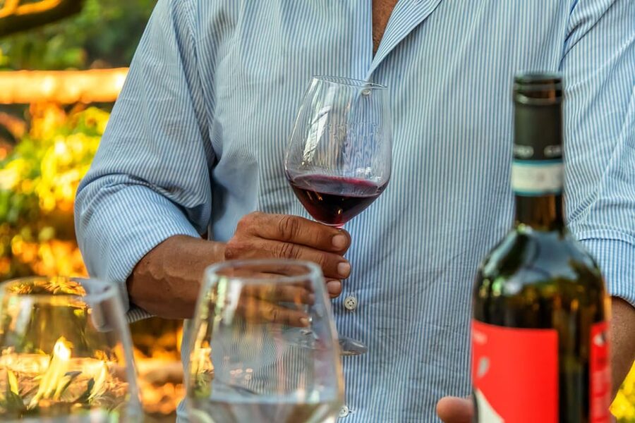 Sorrento: Wine Tasting Overlooking the Sea in a Lemon Grove - Price and Value: Is $112.15 Worth It?