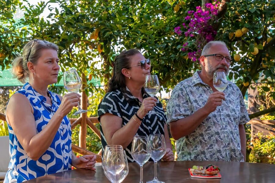 Sorrento: Wine Tasting Overlooking the Sea in a Lemon Grove - Who Should Book This Sorrento Wine Tasting, and Who Might Skip It